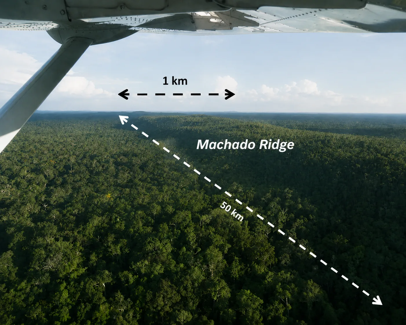 Aerial photography — Taraira ridge system, Vaupés